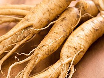 Asian Red Ginseng